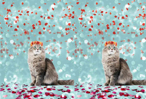 OPHØRSUDSALG -Digital Print med skøn kat og blomster -  Økotex PANEL