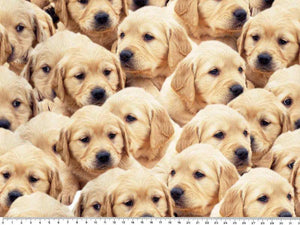 1 METER - Digital print med hunde  - Oekotex 100