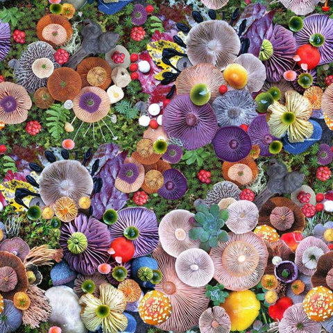 OPHØRSUDSALG -Digital Print med farverige svampe - Oekotex 100